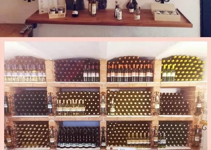 Weinhauerhof Pasching-klinglhuber * Langenlois