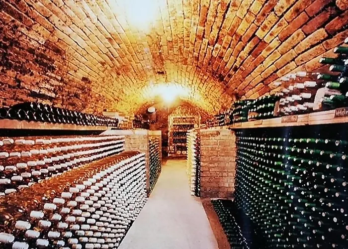 Habitación en casa particular Weinhauerhof Pasching-klinglhuber